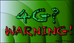 Limits and flaws in 4G privacy and security: a service vulnerable to external attacks